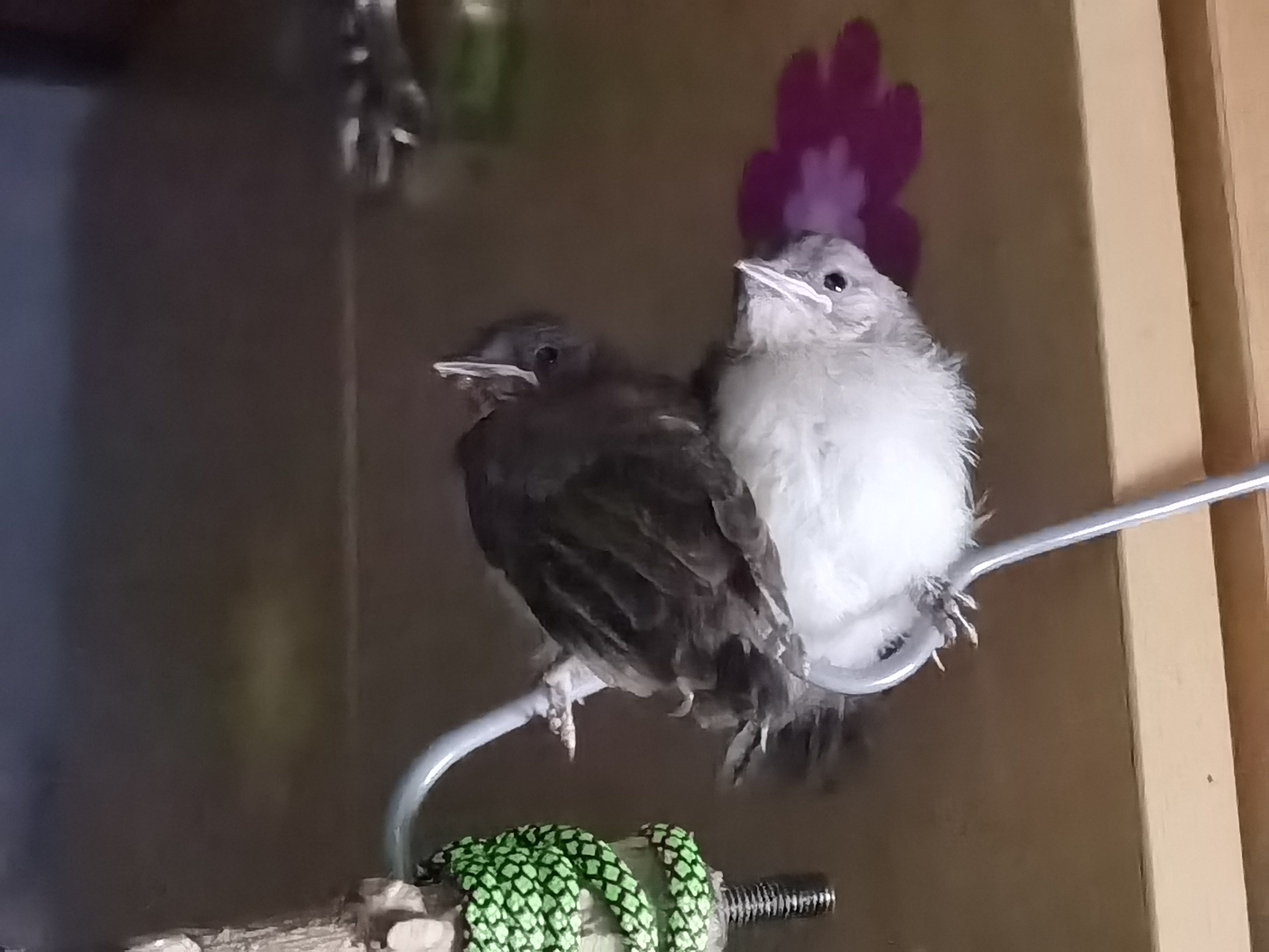 ˶İͷ